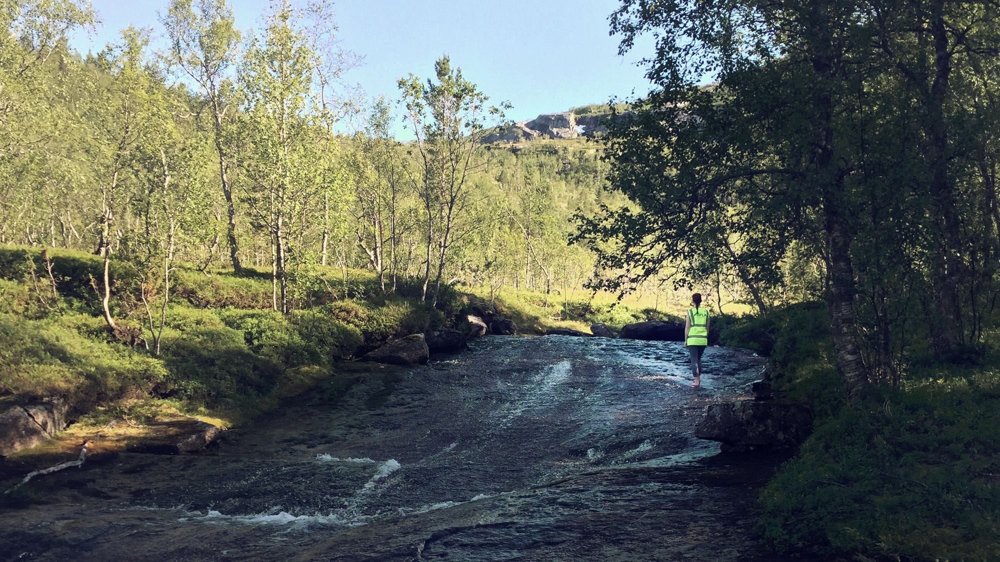 A river flows between green banks, a person in a safety vest wades up the riverbed