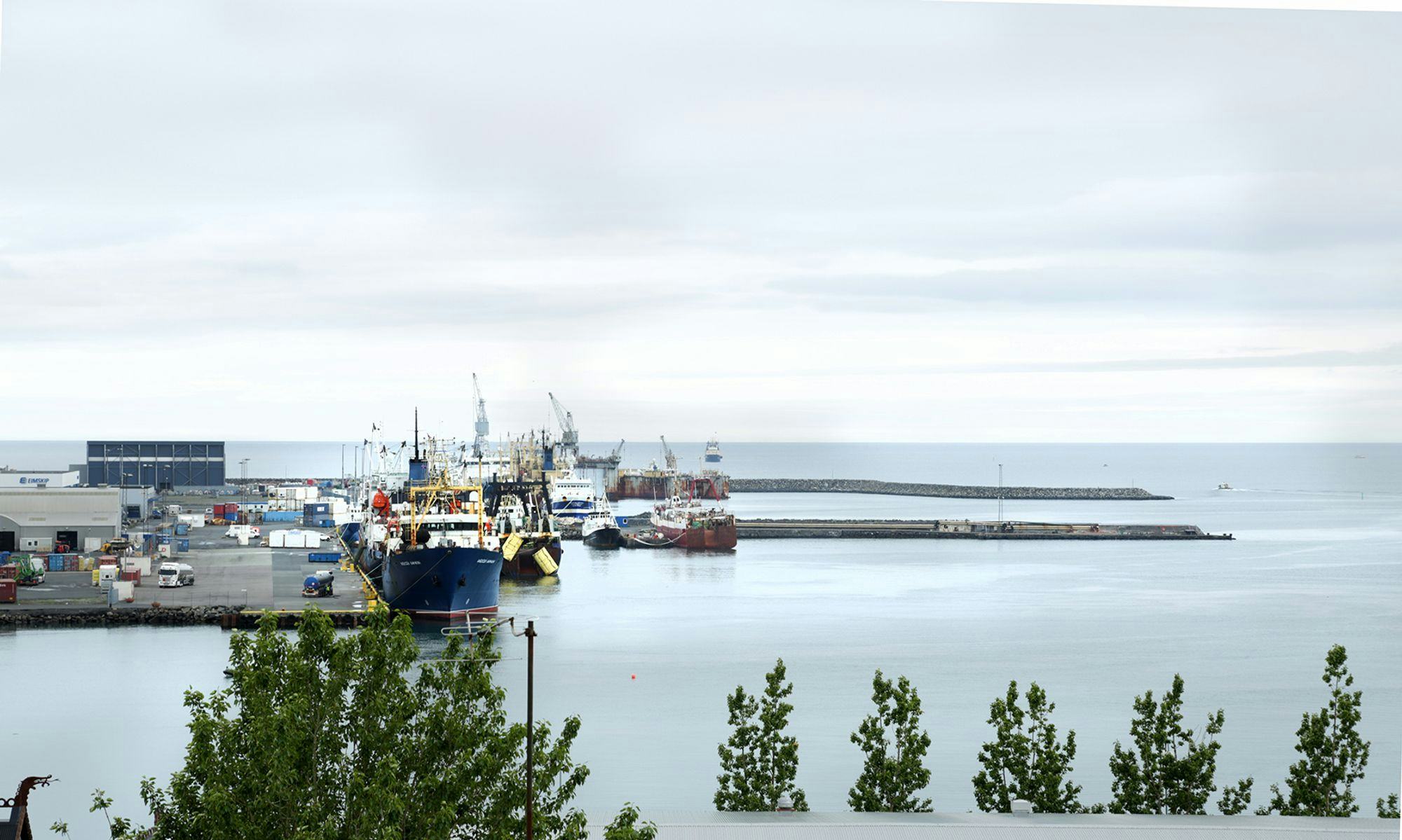 Seen out to sea at the port, large tugs and ships at the port, containers and traffic at the port. Can be seen in the treetops at the bottom of the screen.