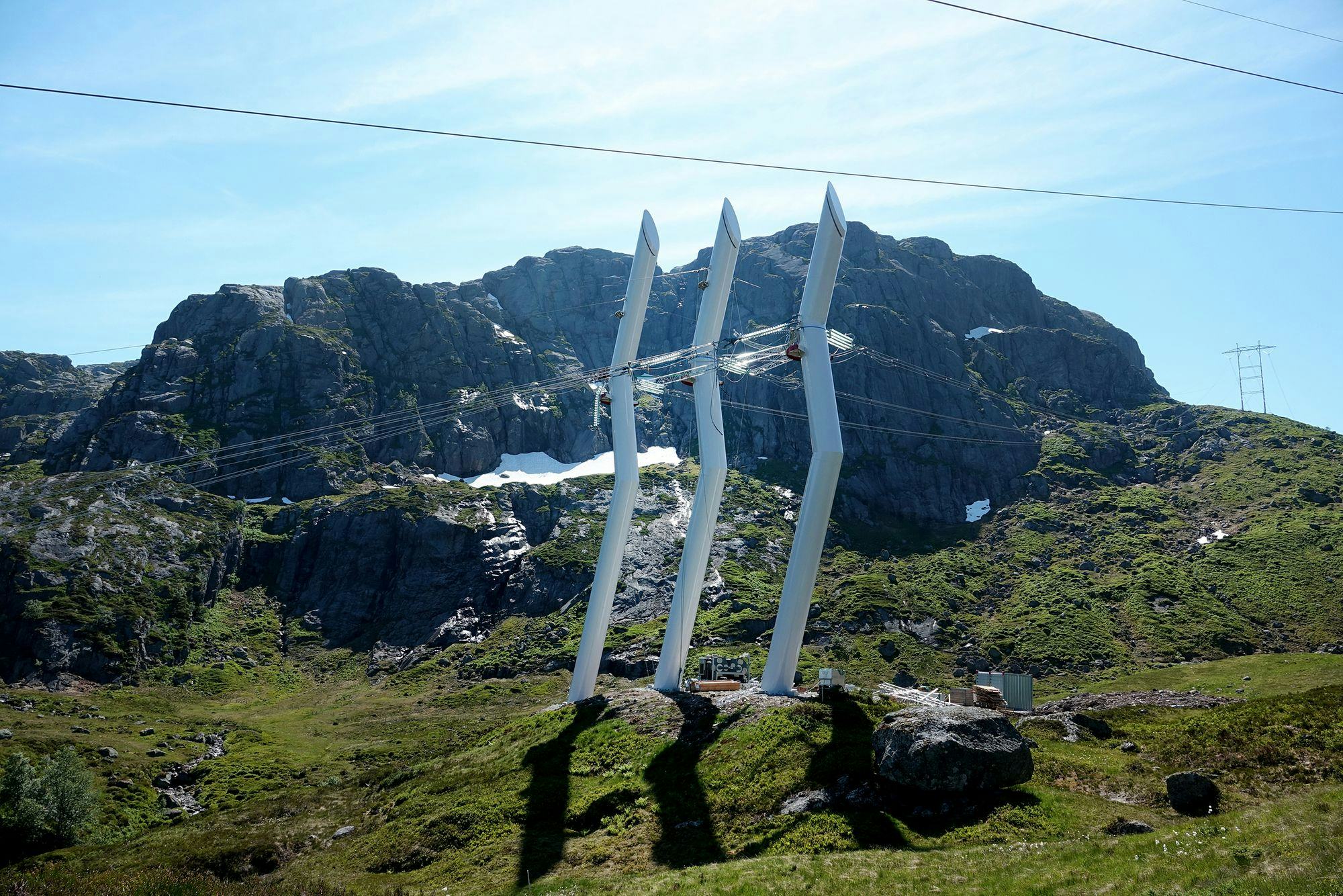 Transmission line in nature